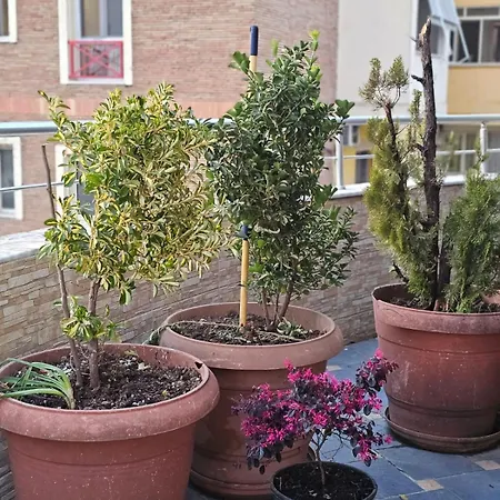 Main Appartement Tirana