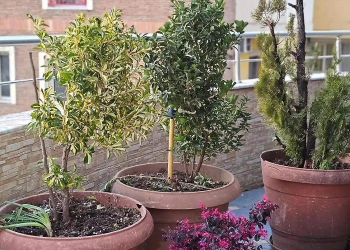 Main דירה טיראנה